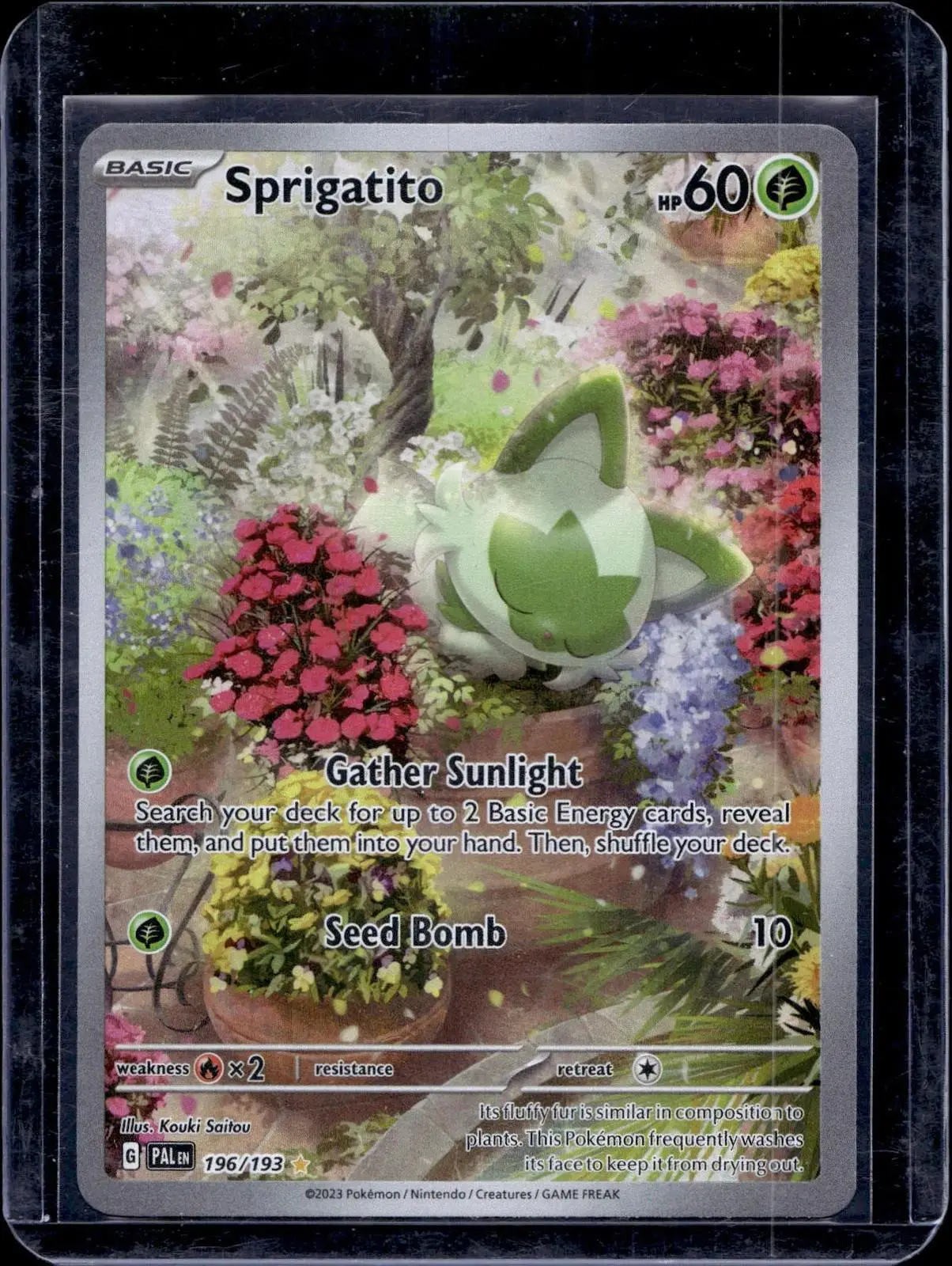 Sprigatito Pokemon SV02: Paldea Evolved 196/193